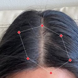 Shreyashi – During